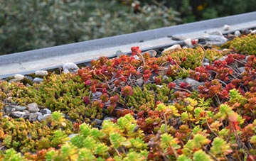 the cost of The Bryn green roof installation