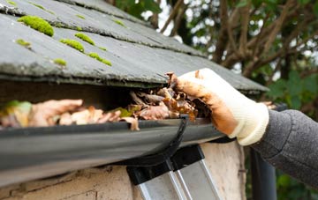 gutter cleaning The Bryn, Monmouthshire