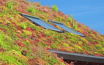 The Bryn living roof systems