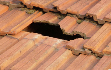 roof repair The Bryn, Monmouthshire