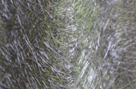 The Bryn fibreglass roof work